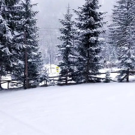 Tanja Apartment Kranjska Gora