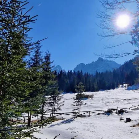 Tanja Kranjska Gora