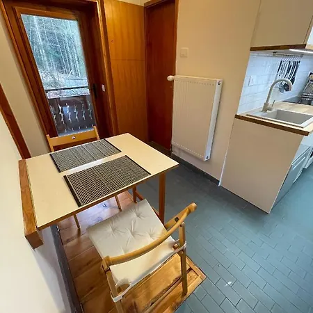 Apartment Tanja Kranjska Gora